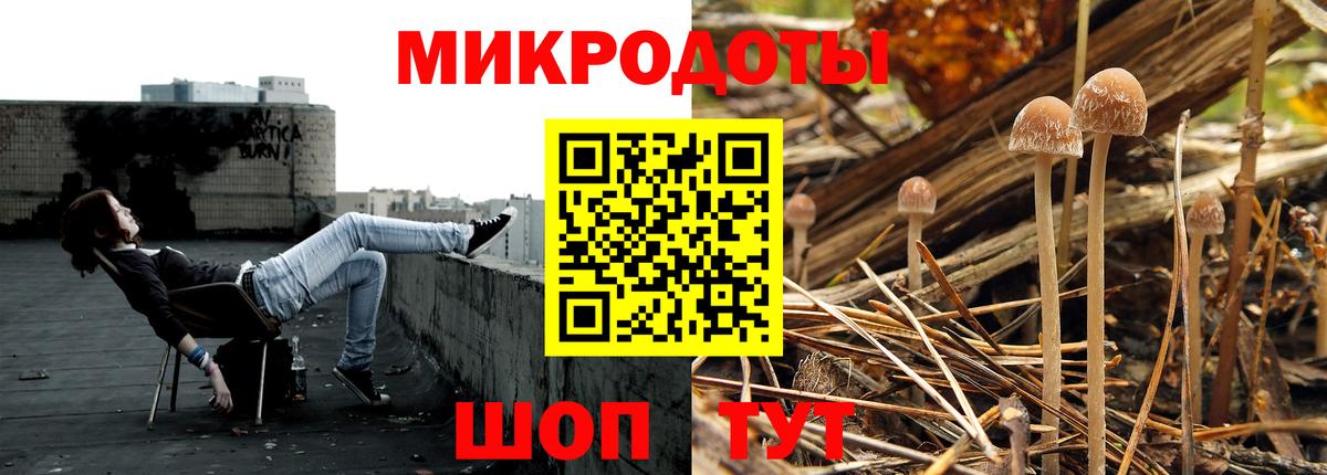 Буйнакск  Псилоцибиновые грибы мухоморы  Вход с VPN 